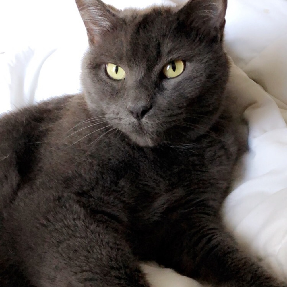 Meet your Posher, Kandi